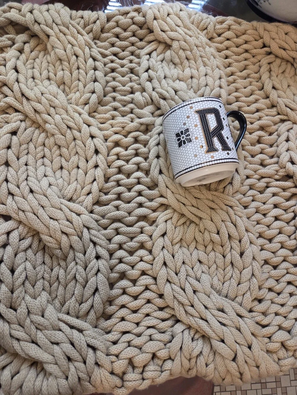 Pottery Barn Colossal Pillow Sham